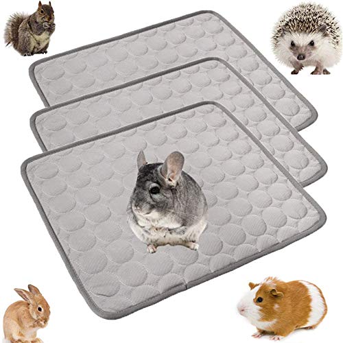 PINVNBY Hamster-Pad für Meerschweinchen, wiederverwendbar, waschbar, für Kaninchen, Chinchilla, Hase, 3 Stück von PINVNBY