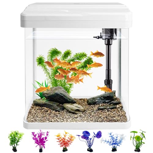 PINVNBY Kleines Aquarium, Glas-Aquarium-Starter-Set mit 6 Kunststoffpflanzen, Betta-Fischbecken für Garnelen, Guppy, Quallen, Goldfisch, Beta, Raumdekoration, Desktop PINVNBY Kleines Aquarium, Glas-Aquarium-Starter-Set mit 6 Kunststoffpflanzen, Betta-Fischbecken für Garnelen, Guppy, Quallen, Goldfisch, Beta, Raumdekoration, Desktop von PINVNBY