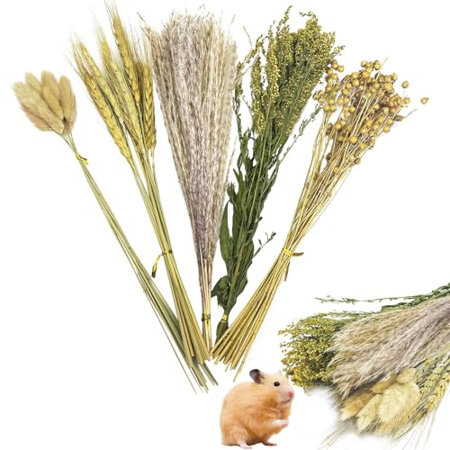 PINVNBY Natürliche Blume & Kräuter Hamster Einstreu Lebensraum Dekor Getreide Meerschweinchen Bettwäsche Hamster Sprays Hamsterkäfig Zubehör für Meerschweinchen Zwerg Syrische Rennmäuse Mäuse Maus PINVNBY Natürliche Blume & Kräuter Hamster Einstreu Lebensraum Dekor Getreide Meerschweinchen Bettwäsche Hamster Sprays Hamsterkäfig Zubehör für Meerschweinchen Zwerg Syrische Rennmäuse Mäuse Maus von PINVNBY