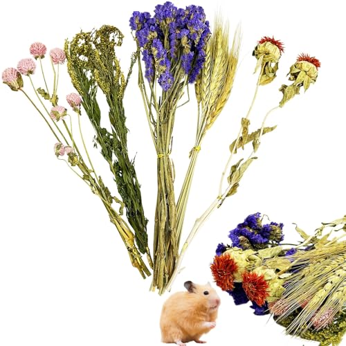 PINVNBY Natürliche Blumen & Kräuter Hamster Bettwäsche Lebensraum Dekor Meerschweinchen Bettwäsche Hamster Sprays Hamsterkäfig Zubehör für Meerschweinchen Zwerg Syrische Rennmäuse Mäuse Maus Ratte PINVNBY Natürliche Blumen & Kräuter Hamster Bettwäsche Lebensraum Dekor Meerschweinchen Bettwäsche Hamster Sprays Hamsterkäfig Zubehör für Meerschweinchen Zwerg Syrische Rennmäuse Mäuse Maus Ratte von PINVNBY