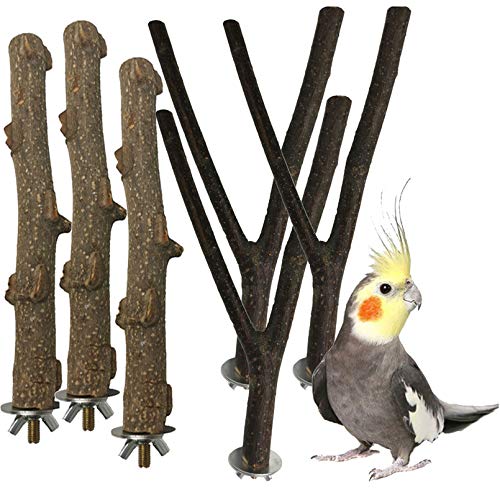 PINVNBY Natürliche Vogel-Holz-Sitzstange Sittich Stehspielzeug Sticks Papagei Pfote Schleifen Äste Nymphensittiche Käfig Kauzubehör für Aras Finken 6 Stück von PINVNBY