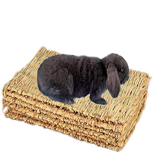 PINVNBY Natürliches Gras gewebte Matte für Kleintiere, Nest, Meerschweinchen, Kauspielzeug für Papageien, Kaninchen, Hamster, Ratten, 6 Stück von PINVNBY