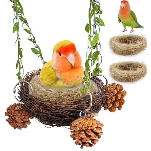 PINVNBY Natürliches Rattan-Vogelnest zum Aufhängen, Vogelbett, Zuckergleiter, Schaukelspielzeug mit Kokosfaser-Matte für Sittiche, Nymphensittiche, Lovebird, Conure, Zuckergleiter, Kanarienvögel PINVNBY Natürliches Rattan-Vogelnest zum Aufhängen, Vogelbett, Zuckergleiter, Schaukelspielzeug mit Kokosfaser-Matte für Sittiche, Nymphensittiche, Lovebird, Conure, Zuckergleiter, Kanarienvögel von PINVNBY