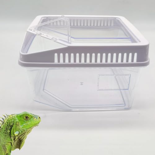 PINVNBY Reptilien-Futterbox Tragbare Schlangenzuchtbox Acryl Reptilienkäfig Transparent Kunststoff Haustier Lebensraum für Spinnen, Eidechsen, Gecko, Grillen, Schildkröten, Krabben von PINVNBY