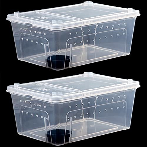 PINVNBY Reptilien-Futterbox für Reptilien, 2 Stück, Schlangenzuchtkasten, Eidechskäfig, Brutbehälter, 32x22x15 cm, transparent, tragbar, Kunststoff, Schildkröte, Baumfrosch (weiß) von PINVNBY