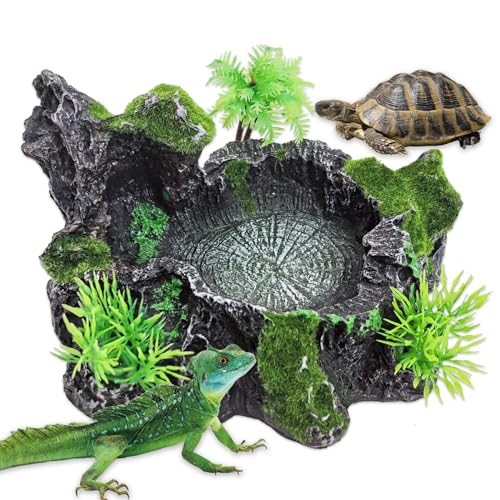 PINVNBY Reptilien-Plattform aus Harz, Reptilien-Wasserschale, künstliche Pflanzen, und Moos-Reptilien-Lebensmittel-Wasserschale für Bartagame, Eidechse, Gecko, Schildkröte, Wasserfrosch, Schlange (mit PINVNBY Reptilien-Plattform aus Harz, Reptilien-Wasserschale, künstliche Pflanzen, und Moos-Reptilien-Lebensmittel-Wasserschale für Bartagame, Eidechse, Gecko, Schildkröte, Wasserfrosch, Schlange (mit von PINVNBY