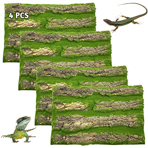 PINVNBY Reptilien-Terrarium-Kork-Hintergrund, Bartdrachen-Tankrinde, Wanddekoration mit künstlichem Moos für Gecko, Eidechse, Schildkröte, Frosch, Chamäleon, 4 Stück von PINVNBY