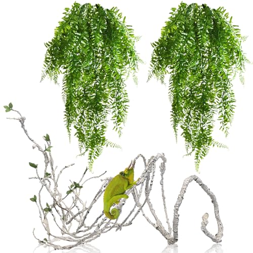 PINVNBY Reptilienpflanzen-Sets, Bartagamen-Tankzubehör, Dschungelkletterranken, flexible Reptilien-Terrariumblätter mit Saugnäpfen, Lebensraumdekoration für Chamäleon, Eidechsen, Gecko, Schlangen (3 PINVNBY Reptilienpflanzen-Sets, Bartagamen-Tankzubehör, Dschungelkletterranken, flexible Reptilien-Terrariumblätter mit Saugnäpfen, Lebensraumdekoration für Chamäleon, Eidechsen, Gecko, Schlangen (3 von PINVNBY