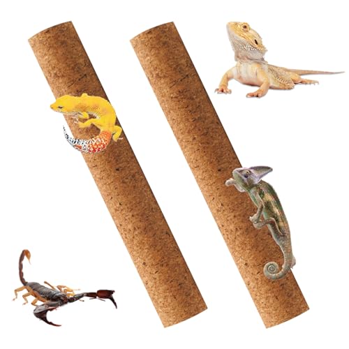 PINVNBY Reptilienzweige zum Klettern, natürlicher Eidechsen-Korkstab, Bartdrache, Baumzweig, Lebensraum, Dekoration für Baum, Frosch, Schlange, Schloss, Gecko, Spinne, Chamäleon, 2 Stück PINVNBY Reptilienzweige zum Klettern, natürlicher Eidechsen-Korkstab, Bartdrache, Baumzweig, Lebensraum, Dekoration für Baum, Frosch, Schlange, Schloss, Gecko, Spinne, Chamäleon, 2 Stück von PINVNBY