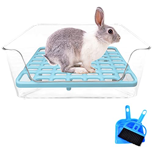 PINVNBY Transparenter Kaninchenklo mit Kaninchen-Ecktoilette für kleine Haustiere, mit Reinigungswerkzeugen für Meerschweinchen, Chinchilla, Frettchen (blau) von PINVNBY