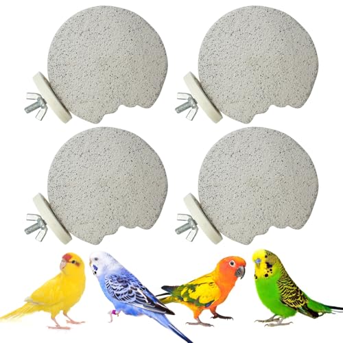 PINVNBY Vogel-Sitzstange, für Papageien, Kalzium, Schnabel, Schleifstein, Fußkrallen, Trimmer, Sittiche, Plattform, Kauspielzeug für kleine, mittelgroße Nymphensittiche, Nymphensittiche, Finken PINVNBY Vogel-Sitzstange, für Papageien, Kalzium, Schnabel, Schleifstein, Fußkrallen, Trimmer, Sittiche, Plattform, Kauspielzeug für kleine, mittelgroße Nymphensittiche, Nymphensittiche, Finken von PINVNBY