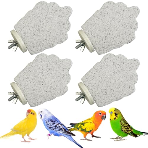 PINVNBY Vogel-Sitzstange, für Papageien, Kalzium, Schnabel, Schleifstein, Fußkrallen, Trimmer, Sittiche, Plattform, Kauspielzeug für kleine, mittelgroße Nymphensittiche, Nymphensittiche, Finken PINVNBY Vogel-Sitzstange, für Papageien, Kalzium, Schnabel, Schleifstein, Fußkrallen, Trimmer, Sittiche, Plattform, Kauspielzeug für kleine, mittelgroße Nymphensittiche, Nymphensittiche, Finken von PINVNBY