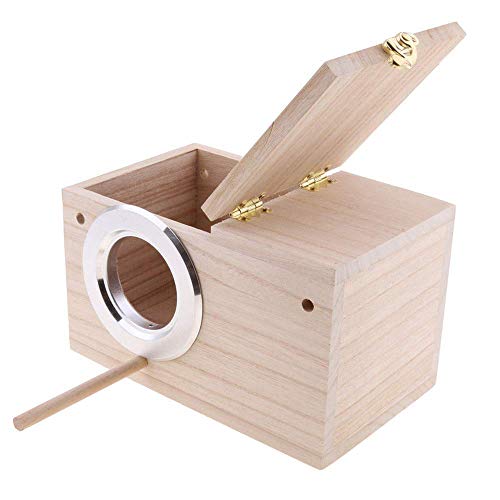 PINVNBY Vogelhaus Wellensittich Holz Brutbox für Lovebirds Papageien Paarungsbox (M:20 cm) von PINVNBY