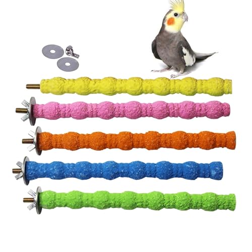 PINVNBY Vogelsitzstange Papageienständer Käfigzubehör Natürlicher Holzstab Pfote Schleifen Raue Oberfläche Kauspielzeug für Kakadus,Kakadu,Lorikeet,Sittich,Sittich 5 Pack (Zufällige Farbe,6.29inch) PINVNBY Vogelsitzstange Papageienständer Käfigzubehör Natürlicher Holzstab Pfote Schleifen Raue Oberfläche Kauspielzeug für Kakadus,Kakadu,Lorikeet,Sittich,Sittich 5 Pack (Zufällige Farbe,6.29inch) von PINVNBY