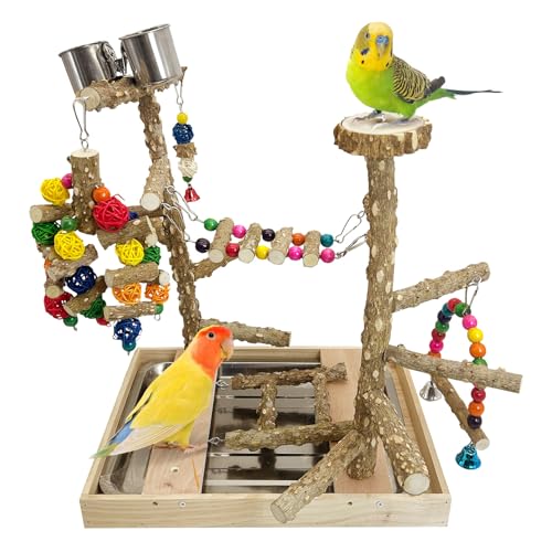 PINVNBY Vogelspielplatz, Naturholz, Papageien-Sitzstange, Vogelspiel, Fitnessstudio, bunte Leiter, Schaukel, Kauspielzeug mit Metallablage und 2 Edelstahlbechern, Vogelkäfig-Zubehör für von PINVNBY
