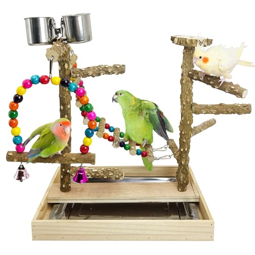 PINVNBY Vogelspielplatz, Naturholz, Sitzstange für Papageien, Spiel, Fitnessstudio, bunte Kletterleiter, Schaukel mit Metallablage und 2 Edelstahlbechern, Vogelkäfig-Zubehör für Nymphensittiche von PINVNBY