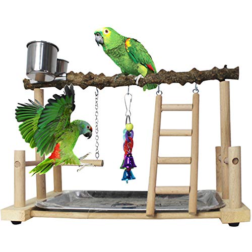 PINVNBY Vogelspielplatz, Vogelkäfig, Spielplatz, Vogelstange, Plattform, Ständer, Papageien, Spielraum, Sittich, Käfigdekoration, Leiter, Kauspielzeug für kleine Tiere Papageien Sittiche PINVNBY Vogelspielplatz, Vogelkäfig, Spielplatz, Vogelstange, Plattform, Ständer, Papageien, Spielraum, Sittich, Käfigdekoration, Leiter, Kauspielzeug für kleine Tiere Papageien Sittiche von PINVNBY