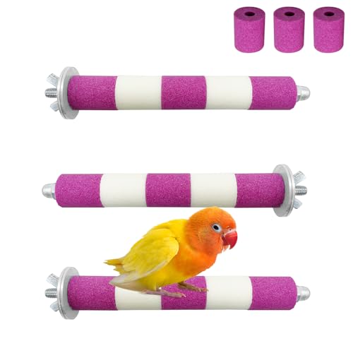 Pivby Vogel-Sitzstangen für Käfig, Papageien-Sitzstangen, Spielzeug mit Metallschaft, bunter Sandpfoten, Schleifstab für Sittiche, Nymphensittiche, Wellensittiche, Wellensittiche, Lovebird (mit 3 x Pivby Vogel-Sitzstangen für Käfig, Papageien-Sitzstangen, Spielzeug mit Metallschaft, bunter Sandpfoten, Schleifstab für Sittiche, Nymphensittiche, Wellensittiche, Wellensittiche, Lovebird (mit 3 x von PINVNBY