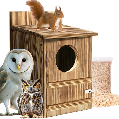 Kreischeule Haus, karbonisierte Zeder, großer Eulen-Nistkasten mit Spänen, Boxen für Wildtierliebhaber, einfache Montage erforderlich, einfache Montage erforderlich Kreischeule Haus, karbonisierte Zeder, großer Eulen-Nistkasten mit Spänen, Boxen für Wildtierliebhaber, einfache Montage erforderlich, einfache Montage erforderlich von PIPIONE