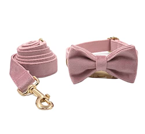 Hundeleine Klassische Haustier-Halsband-Leine mit rosafarbener Schnalle, bequemes Halsband, Heimtierbedarf, weiches Hundehalsband Führleine für Hunde (Color : Blue, Size : 56-62cm) von PIPONS