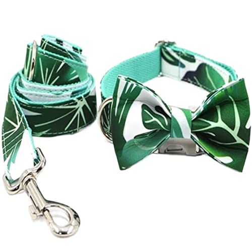 Hundeleine Klassische Hundehalsband Mit Eingravierten Grünen Blättern, Stilvolles Hundehalsband Und Leine Mit Fliege Führleine für Hunde (Color : Grün, Size : 31-41cm) von PIPONS