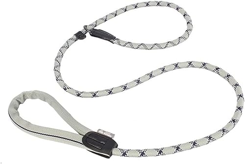 Hundeleine Klassische Hundeleine Slip Rope Lead Leine Heavy Duty Reflektierendes Geflochtenes Seil Verstellbares Halsband Führleine für Hunde (Color : G, Size : 1cm*155cm) von PIPONS