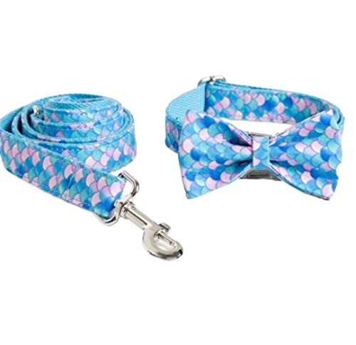 Hundeleine Klassische Verstellbares Hundehalsband, Leine, Bequemes Halsband, Heimtierbedarf, Reflektierendes Hundehalsband Und Leine Führleine für Hunde (Color : Blue, Size : 23-30cm) von PIPONS