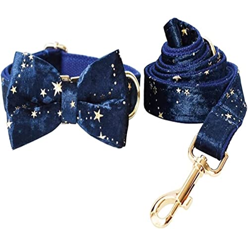 Hundeleine Klassische Verstellbares Hundehalsband Und Leine Set Gold Glitter Stars Custom ID Hundehalsband Mit Fliege Führleine für Hunde (Color : Blue, Size : 27-41cm) von PIPONS