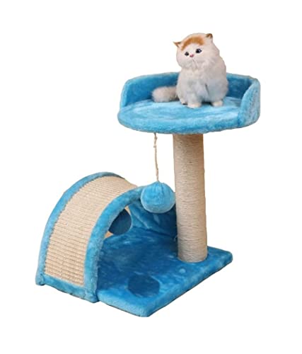 Katzenbaum Kratzbaum Klettergerüst Für Katzen, Katzenstreu, Kratzbaum, Sprungplattform Für Katzen, Katzenbedarf, Heimtierbedarf katzenkratzbaum (Color : Blu, Size : 35x35x45cm) von PIPONS