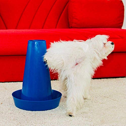 PIPPI Hundetoilette Hundepads Hundematten pflegeleichtes Hundeklo für drinnen und draußen Hunde WC für optimale Hundehygiene geruchlos Welpen Toilette Umweltfreundlich Maße 28x36 Blau PIPPI Hundetoilette Hundepads Hundematten pflegeleichtes Hundeklo für drinnen und draußen Hunde WC für optimale Hundehygiene geruchlos Welpen Toilette Umweltfreundlich Maße 28x36 Blau von PIPPI