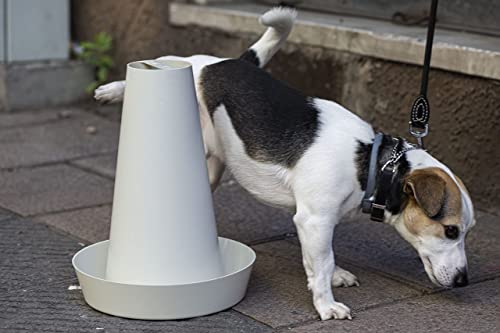 PIPPI Traversine Urinal-Matten für Hunde und Männer Zubehör saugfähig Neue Generation von PIPPI