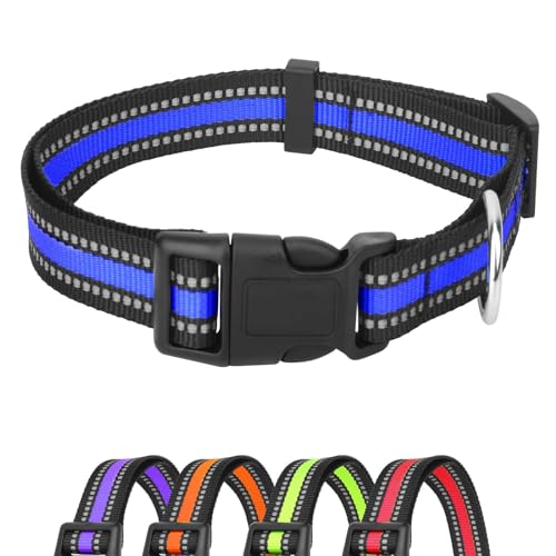 PISPETS Reflektierend Hundehalsband, Längenverstellbar, 20mm Breite Passend für Kleine bis Mittlere Hunde (Blau) von PISPETS