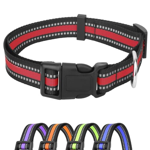PISPETS Reflektierend Hundehalsband, Längenverstellbar, 20mm Breite Passend für Kleine bis Mittlere Hunde (Rot) von PISPETS