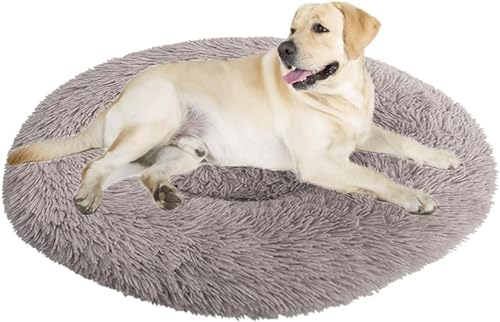 Beruhigendes Bett für Hunde und Katzen, flauschiges Katzenbett, großes Hundebett, Matratze, rund, orthopädische Entlastung, verbesserter Schlaf für Corgi, Teddy, Chihuahua Beruhigendes Bett für Hunde und Katzen, flauschiges Katzenbett, großes Hundebett, Matratze, rund, orthopädische Entlastung, verbesserter Schlaf für Corgi, Teddy, Chihuahua von PIURUF