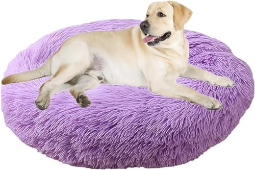 Beruhigendes Bett für Hunde und Katzen, flauschiges Katzenbett, großes Hundebett, Matratze, rund, orthopädische Entlastung, verbesserter Schlaf für Corgi, Teddy, Chihuahua Beruhigendes Bett für Hunde und Katzen, flauschiges Katzenbett, großes Hundebett, Matratze, rund, orthopädische Entlastung, verbesserter Schlaf für Corgi, Teddy, Chihuahua von PIURUF