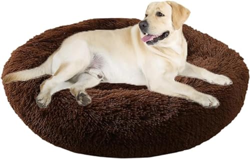 Beruhigendes Bett für Hunde und Katzen, flauschiges Katzenbett, großes Hundebett, Matratze, rund, orthopädische Entlastung, verbesserter Schlaf für Corgi, Teddy, Chihuahua Beruhigendes Bett für Hunde und Katzen, flauschiges Katzenbett, großes Hundebett, Matratze, rund, orthopädische Entlastung, verbesserter Schlaf für Corgi, Teddy, Chihuahua von PIURUF