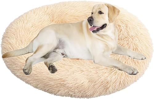 Beruhigendes Bett für Hunde und Katzen, flauschiges Katzenbett, großes Hundebett, Matratze, rund, orthopädische Entlastung, verbesserter Schlaf für Corgi, Teddy, Chihuahua Beruhigendes Bett für Hunde und Katzen, flauschiges Katzenbett, großes Hundebett, Matratze, rund, orthopädische Entlastung, verbesserter Schlaf für Corgi, Teddy, Chihuahua von PIURUF