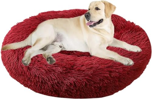 Beruhigendes Bett für Hunde und Katzen, flauschiges Katzenbett, großes Hundebett, Matratze, rund, orthopädische Entlastung, verbesserter Schlaf für Corgi, Teddy, Chihuahua Beruhigendes Bett für Hunde und Katzen, flauschiges Katzenbett, großes Hundebett, Matratze, rund, orthopädische Entlastung, verbesserter Schlaf für Corgi, Teddy, Chihuahua von PIURUF