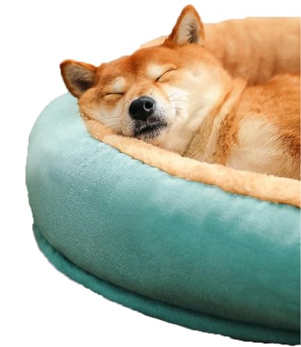 PIURUF Großes Hundebett, flauschiges Welpenbett, reißfest, beruhigendes Haustierkissen, Matratze für Hundekäfige, verbesserte Schlafmatte für Teddy, Border Collie, Labrador PIURUF Großes Hundebett, flauschiges Welpenbett, reißfest, beruhigendes Haustierkissen, Matratze für Hundekäfige, verbesserte Schlafmatte für Teddy, Border Collie, Labrador von PIURUF