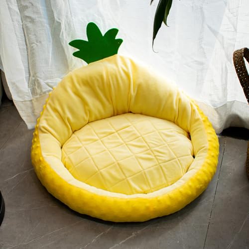 PIURUF Hochdichtes Samt-Katzenbett, Chihuahua-Schlafkissen, Welpen, Kätzchen, Matratzenauflage, beruhigendes Hundebett, Sofa, Bett, Hundematratze, kuscheliges Haustierkissen PIURUF Hochdichtes Samt-Katzenbett, Chihuahua-Schlafkissen, Welpen, Kätzchen, Matratzenauflage, beruhigendes Hundebett, Sofa, Bett, Hundematratze, kuscheliges Haustierkissen von PIURUF