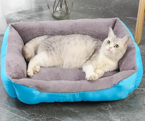 PIURUF Hochwertiges großes beruhigendes Hunde- und Katzenbett, Haustier-Sofa mit Matte und Spielzeug, Plüsch-Haustierbett für Welpen, Hundeausruhen, Schlafkissen, Matratze, rutschfestes Kätzchenbett PIURUF Hochwertiges großes beruhigendes Hunde- und Katzenbett, Haustier-Sofa mit Matte und Spielzeug, Plüsch-Haustierbett für Welpen, Hundeausruhen, Schlafkissen, Matratze, rutschfestes Kätzchenbett von PIURUF