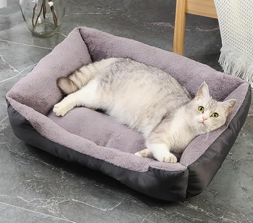 PIURUF Hochwertiges großes beruhigendes Hunde- und Katzenbett, Haustier-Sofa mit Matte und Spielzeug, Plüsch-Haustierbett für Welpen, Hundeausruhen, Schlafkissen, Matratze, rutschfestes Kätzchenbett PIURUF Hochwertiges großes beruhigendes Hunde- und Katzenbett, Haustier-Sofa mit Matte und Spielzeug, Plüsch-Haustierbett für Welpen, Hundeausruhen, Schlafkissen, Matratze, rutschfestes Kätzchenbett von PIURUF