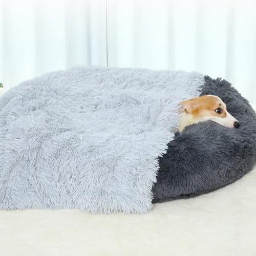 PIURUF Sofabezug für Hunde und Katzen, waschbarer Möbelschutz, flauschiges Hundebett, groß, Premium-Plüsch-Hundekissen, Hundekäfig-Matratze, 200 x 120 cm PIURUF Sofabezug für Hunde und Katzen, waschbarer Möbelschutz, flauschiges Hundebett, groß, Premium-Plüsch-Hundekissen, Hundekäfig-Matratze, 200 x 120 cm von PIURUF