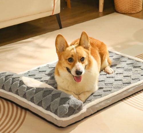 PIURUF Verbessertes Haustier-Schlaf-Hundebett, beruhigendes Katzenbett, luxuriöse Hundematratze, Haustier-Sofa, Betten für Hundekäfige, Sofas, Auto-Rücksitze, Teddy, Corgi, Chihuahua PIURUF Verbessertes Haustier-Schlaf-Hundebett, beruhigendes Katzenbett, luxuriöse Hundematratze, Haustier-Sofa, Betten für Hundekäfige, Sofas, Auto-Rücksitze, Teddy, Corgi, Chihuahua von PIURUF