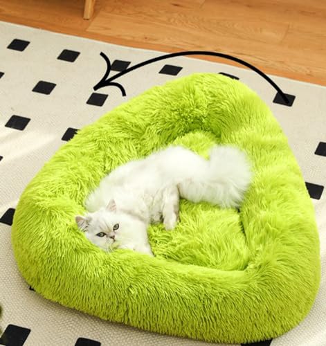 Plüsch-Donut-Hundebett mit lustigem Ball, Welpenmatte mit rutschfester Unterseite, waschbares Kätzchenbett, Anti-Angst-Haustierbett, Katzenbett, Sofa, verbessert die Schlafmatte Plüsch-Donut-Hundebett mit lustigem Ball, Welpenmatte mit rutschfester Unterseite, waschbares Kätzchenbett, Anti-Angst-Haustierbett, Katzenbett, Sofa, verbessert die Schlafmatte von PIURUF