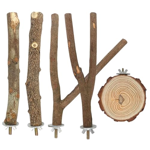 5pcs/Set Bird Barch Stand Safe Naturholzpapagei 5pcs/Set Bird Barch Stand Safe Naturholzpapagei von PIUpiuLIANG