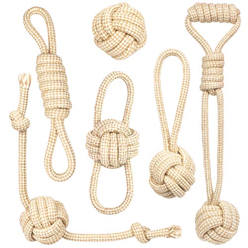 PIVEDOS Hundespielzeug – Das Original aus natürlicher Baumwolle für kleine und große Hunde – Für Welpenerziehung – Hundebälle, All Breed Sizes , – 6er Set PIVEDOS Hundespielzeug – Das Original aus natürlicher Baumwolle für kleine und große Hunde – Für Welpenerziehung – Hundebälle, All Breed Sizes , – 6er Set von PIVEDOS