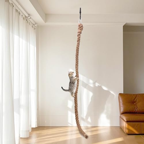 PIXIUTANK Katzenkletterseil - Wand/Deckenmontage Natürliche Jute Hängende Katze Kletterspielzeug mit Haken für Indoor/Outdoor Katzen, Kratzfest, 2.5M PIXIUTANK Katzenkletterseil - Wand/Deckenmontage Natürliche Jute Hängende Katze Kletterspielzeug mit Haken für Indoor/Outdoor Katzen, Kratzfest, 2.5M von PIXIUTANK
