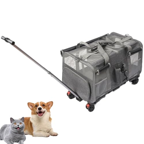 PJDDP Extra Große Haustiertrage Mit Zwei Fächern Und Rädern Für Katze/Hund, Zusammenklappbare Rolltrage Für 2 Katzen, Super Belüftetes Design, Ideal Für Reisen/Wandern/Camping,Grau PJDDP Extra Große Haustiertrage Mit Zwei Fächern Und Rädern Für Katze/Hund, Zusammenklappbare Rolltrage Für 2 Katzen, Super Belüftetes Design, Ideal Für Reisen/Wandern/Camping,Grau von PJDDP