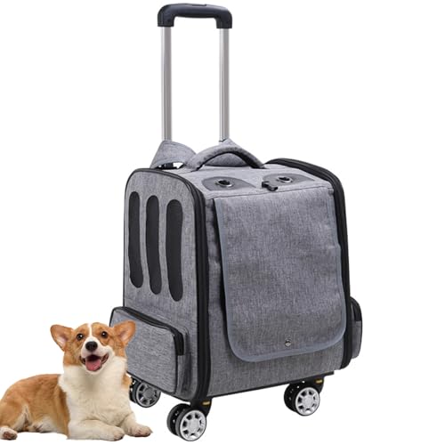 PJDDP Großer Haustiertragerucksack Mit Rädern, Faltbarer Katzenrucksack Carrier, Hunderucksack Carrier Mit Belüftetem Design, Katzen Transport Box Mit Teleskopgriff,Grau von PJDDP